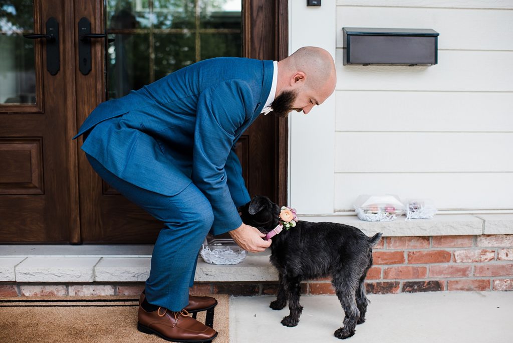 Groom in blue suit putting a floral collar on the dog for a wedding at The Royal Park Hotel in Rochester Hills.