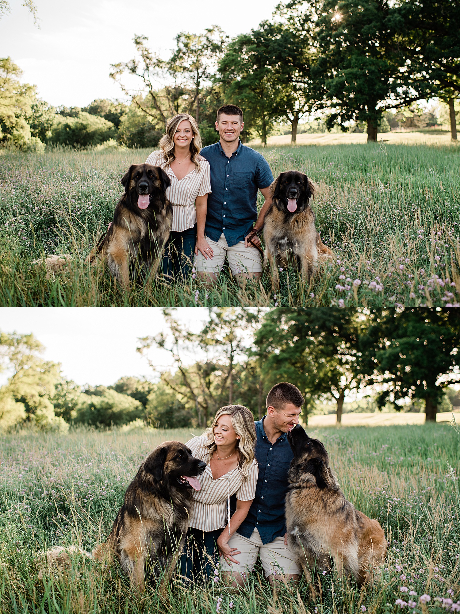 engaged couple with dogs at Milford engagement session