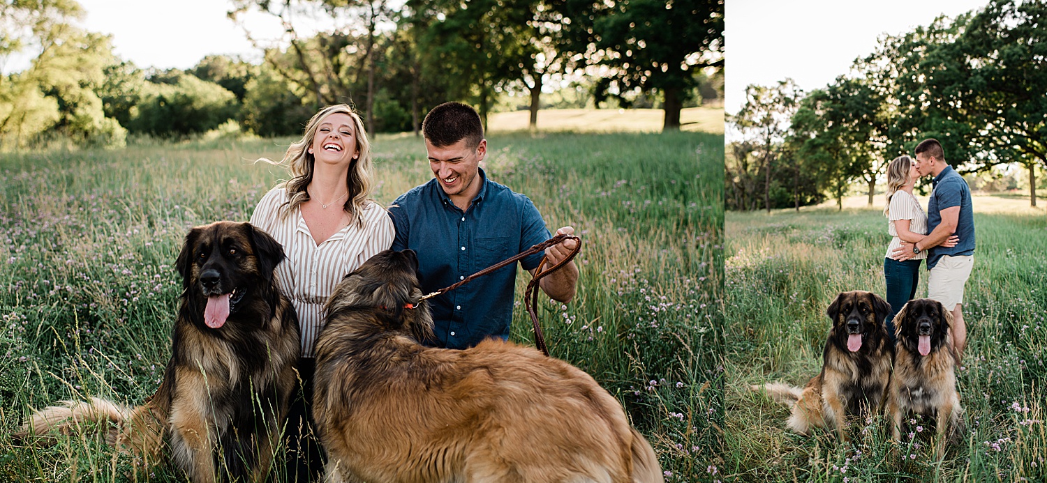 couple walking with two dogs during Milford engagement session 